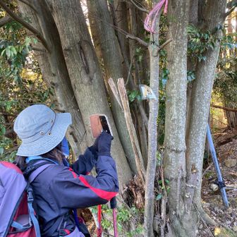 宇賀最高点　268m
