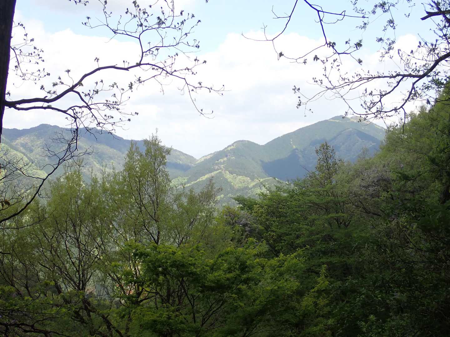 根雨駅-宝仏山登山道入口-宝仏山 往復コースの写真