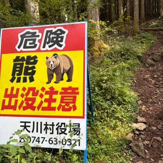 出てこなくてよかった🐻