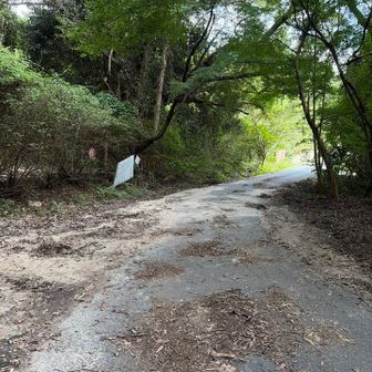 林道を10数分歩いて丸山キャンプ場へ向かう
