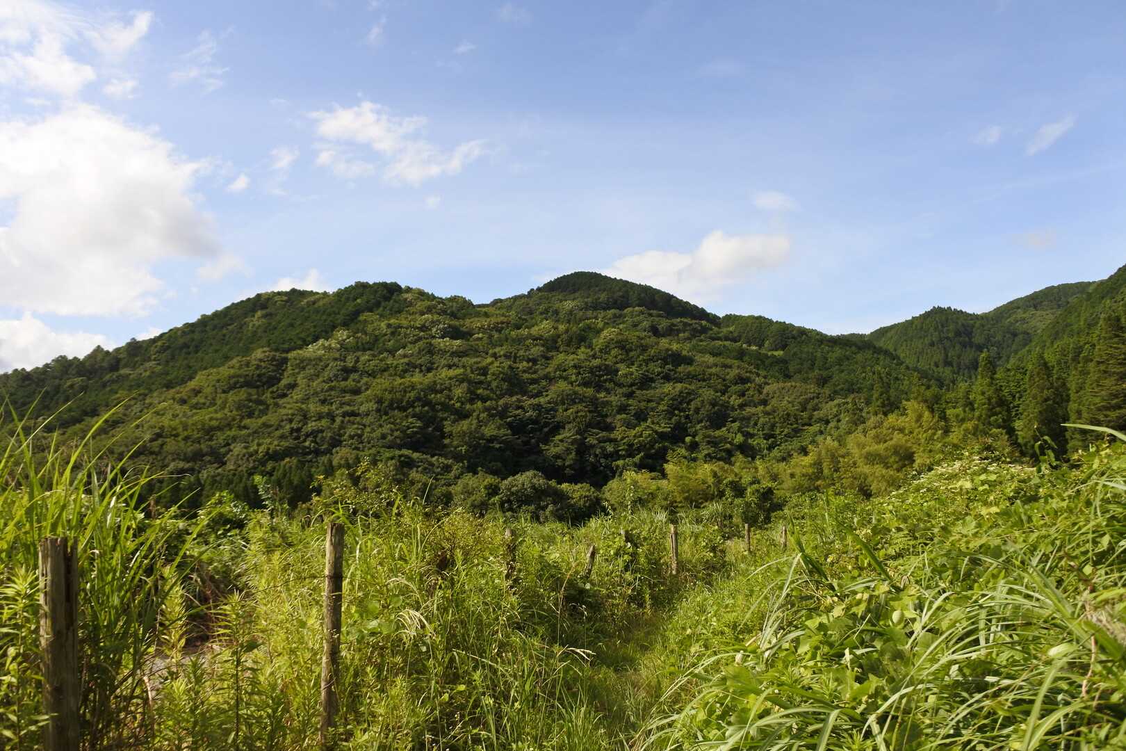 白金山の写真