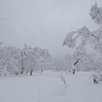帰りに札幌1５０峰コレクターのあどっちさんに頼まれて、望洋台に立ち寄ることにしました。