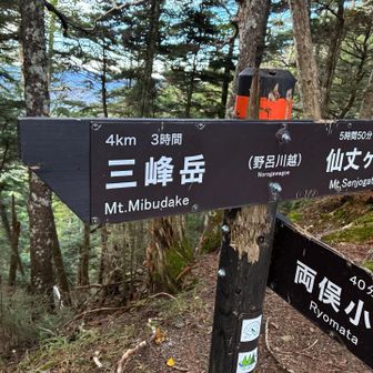 野呂川越にて
「仙丈ヶ岳まで5時間50分」
この数字よく覚えておいてください