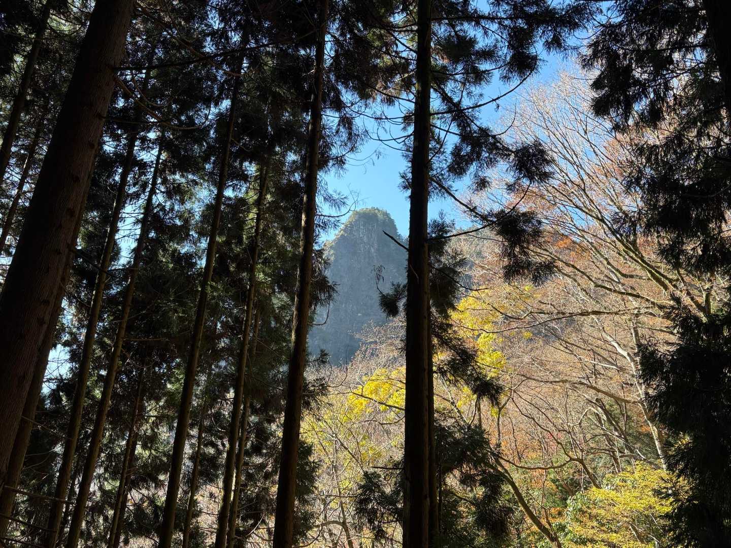 下山中に木々の隙間から見えた地蔵岳