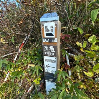 水場10分❓