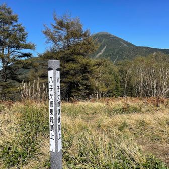 行きに見逃した東峰