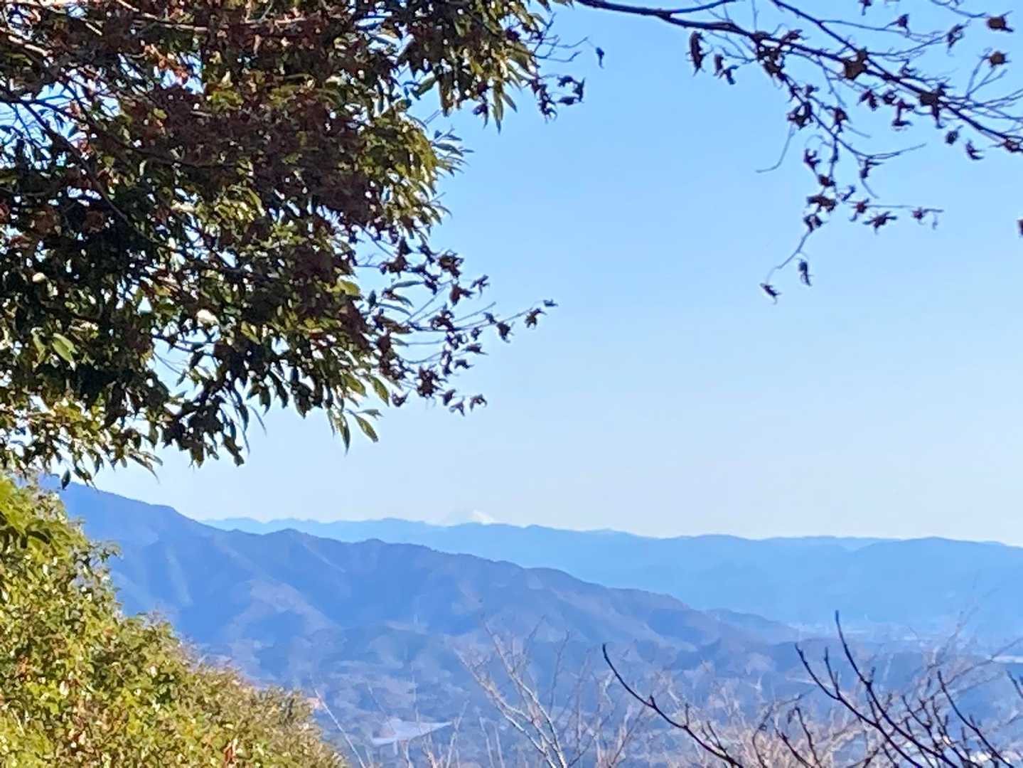 もっと近くで見たいよー
