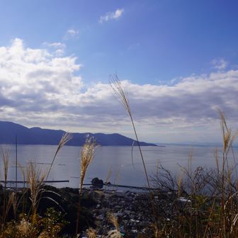 海が見えるのが良いよね