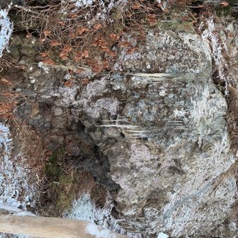 つららになってます
写真が横でした😅