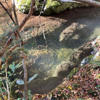 分かりにくいが水は綺麗🌟