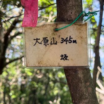 蜘蛛の巣だらけだった