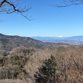 淺間山と赤城山の上の方だけ、ちょこっと見えました
雪山行きたし🥺