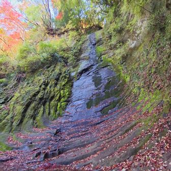 金神の滝。高度あり、水量は少ないですが、神秘的でいい滝です！！