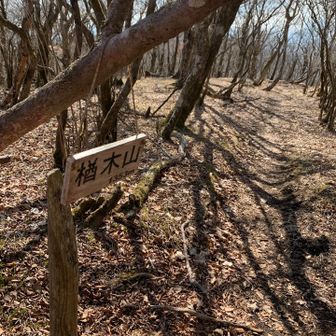 ⑧楢木山、1353m
展望なし。なだらかな山容が続くので素通りしそうになります。