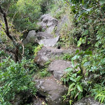 8合目から大きい岩だらけで歩き難いです。