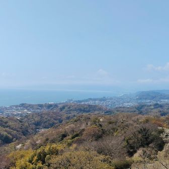 三浦方面
まだ行ったことない。