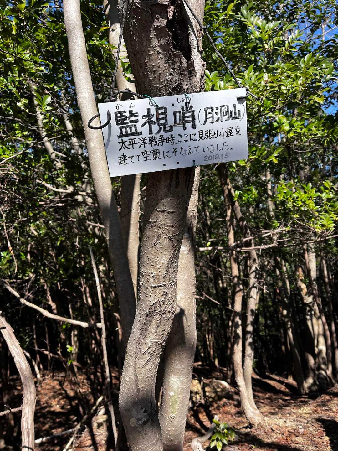 監視哨(かんししょう)月洞山