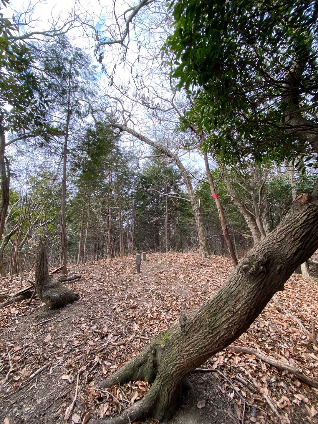 山頂⛰
なぁ〜んもないね🤣🤣