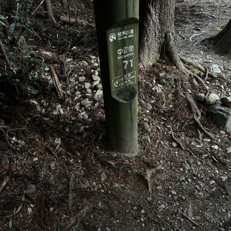 さすがに今回は暗くなっちゃうかな