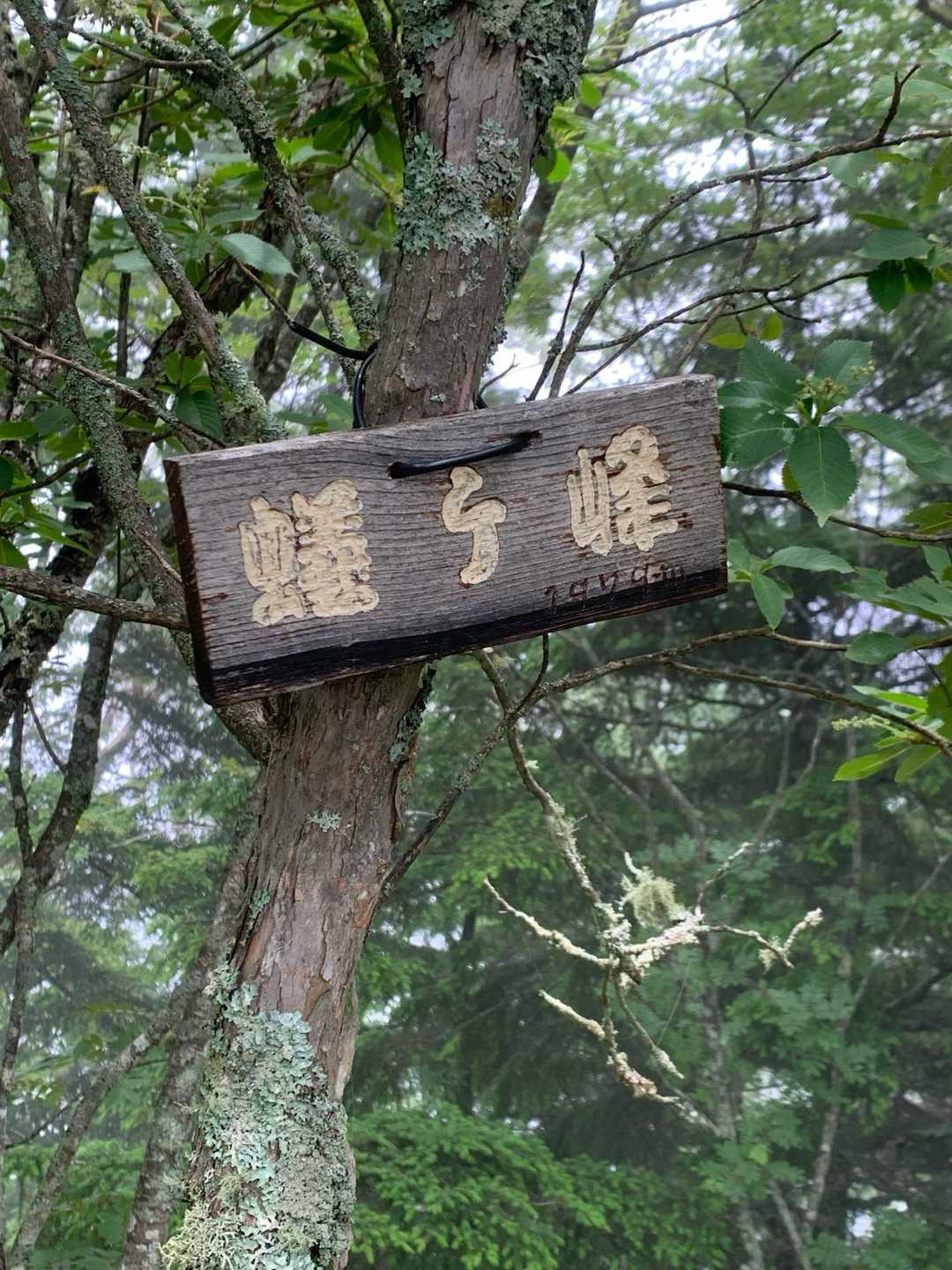 蟻ヶ峰
高天山1979Ｍ