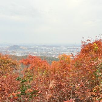 しばらくこの景色続きます😵