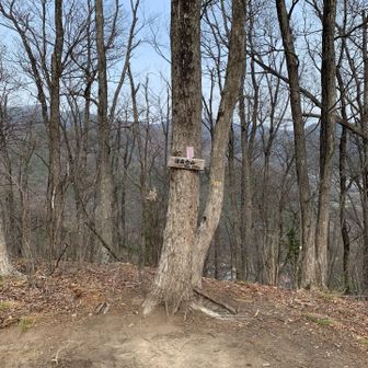 ここはまだ色無い