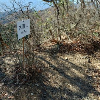 大前山山頂に到着、樹林で景色は良くない。
