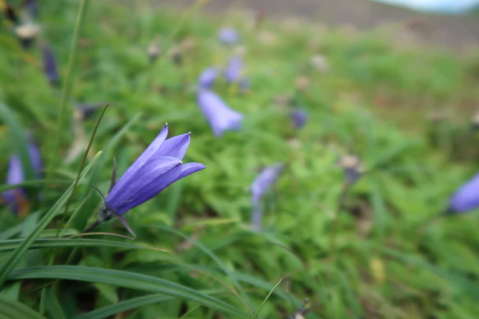 熊ヶ岳（北海道）の写真