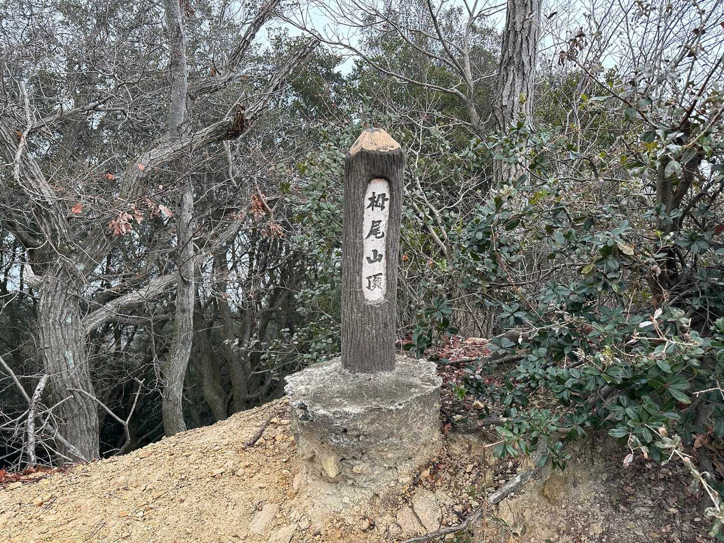 栂尾山（標高274m）⛰️✨