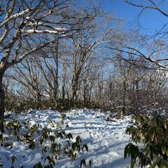 山頂は広かった🙌