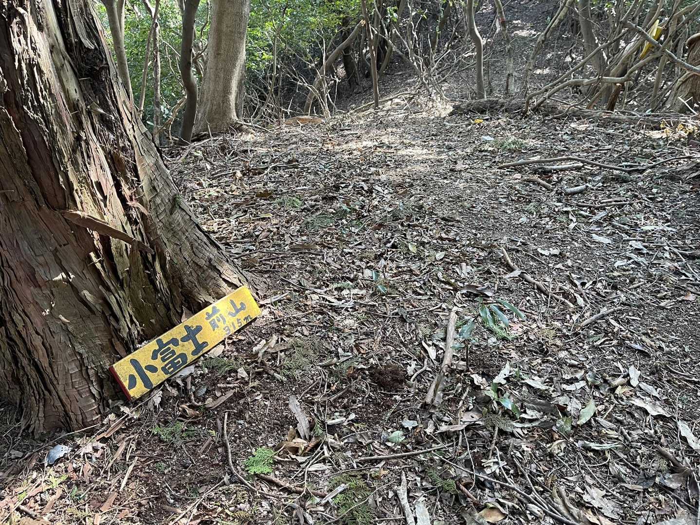 ここも展望も山頂感もゼロのピーク😂
