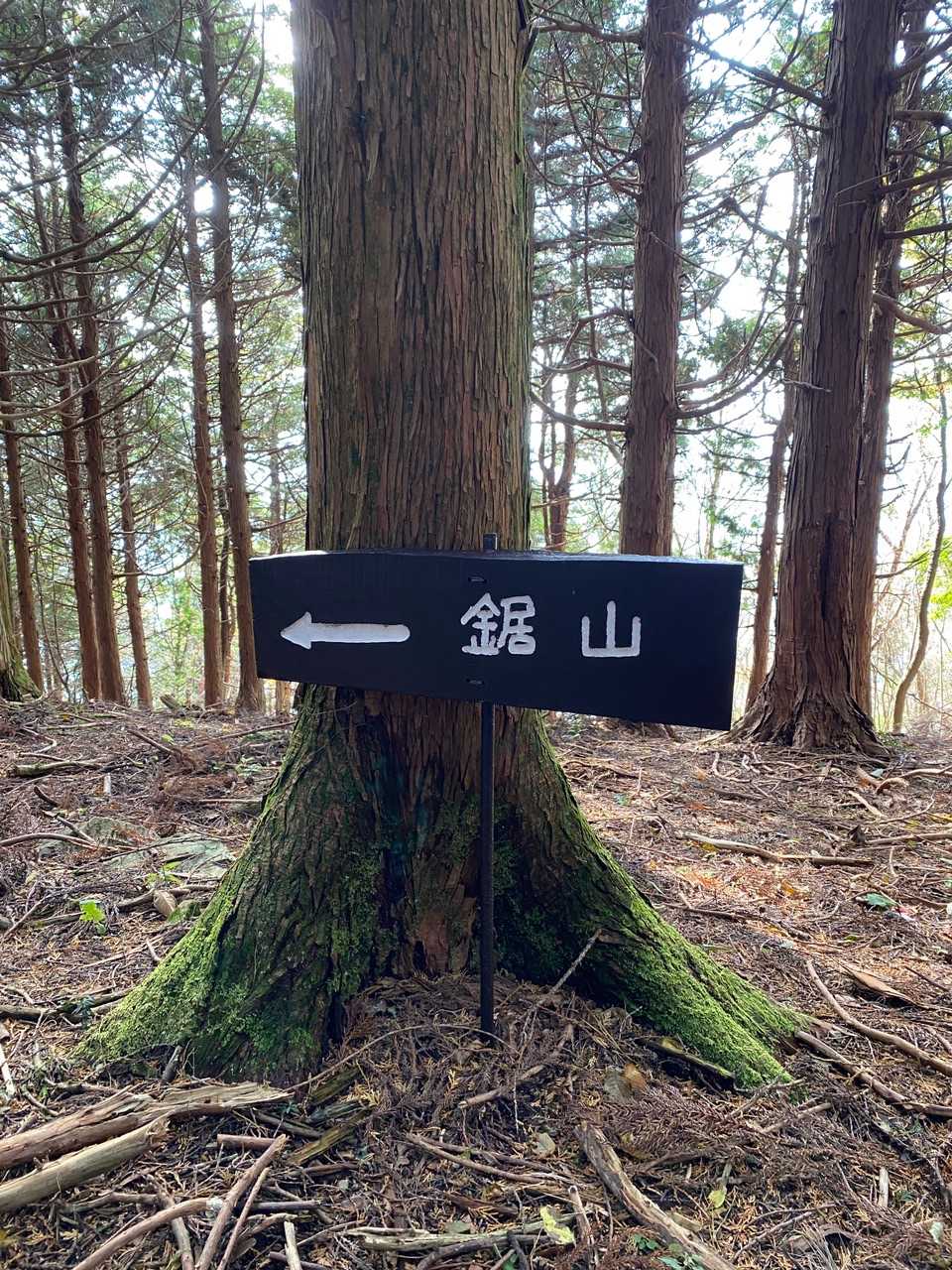 看板が新しい✨
鋸山にはいかず　　右へ▶︎▶︎▶︎
