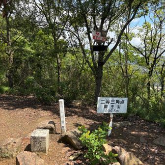 山頂でーす👍