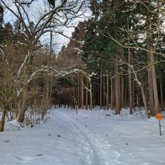 トレースはしっかりあります