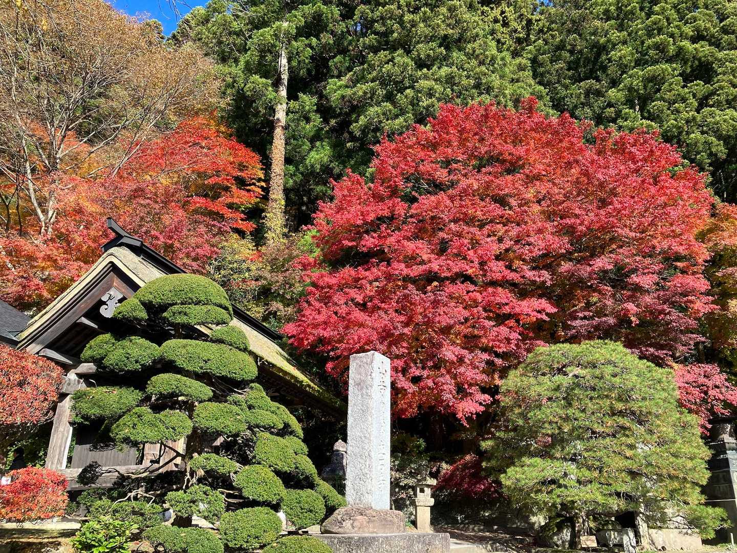 宝珠山-山寺観音千手院-垂水遺跡 周回コースの写真