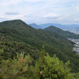 久しぶりの石山からの火山と武田山✨️
太陽は出ているものも、日差し柔らかく、風は時折吹いて、火照った頭と体をクールダウンしてくれて…。
鳥が飛び、無音の世界✨️
癒され、体力も回復です😊
