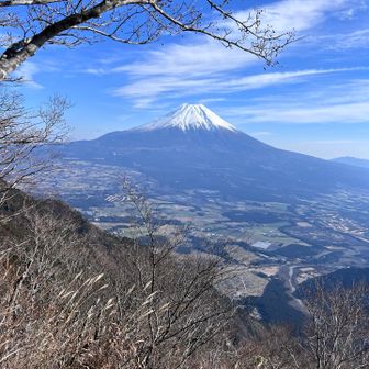 ここも春先きれいだろうな