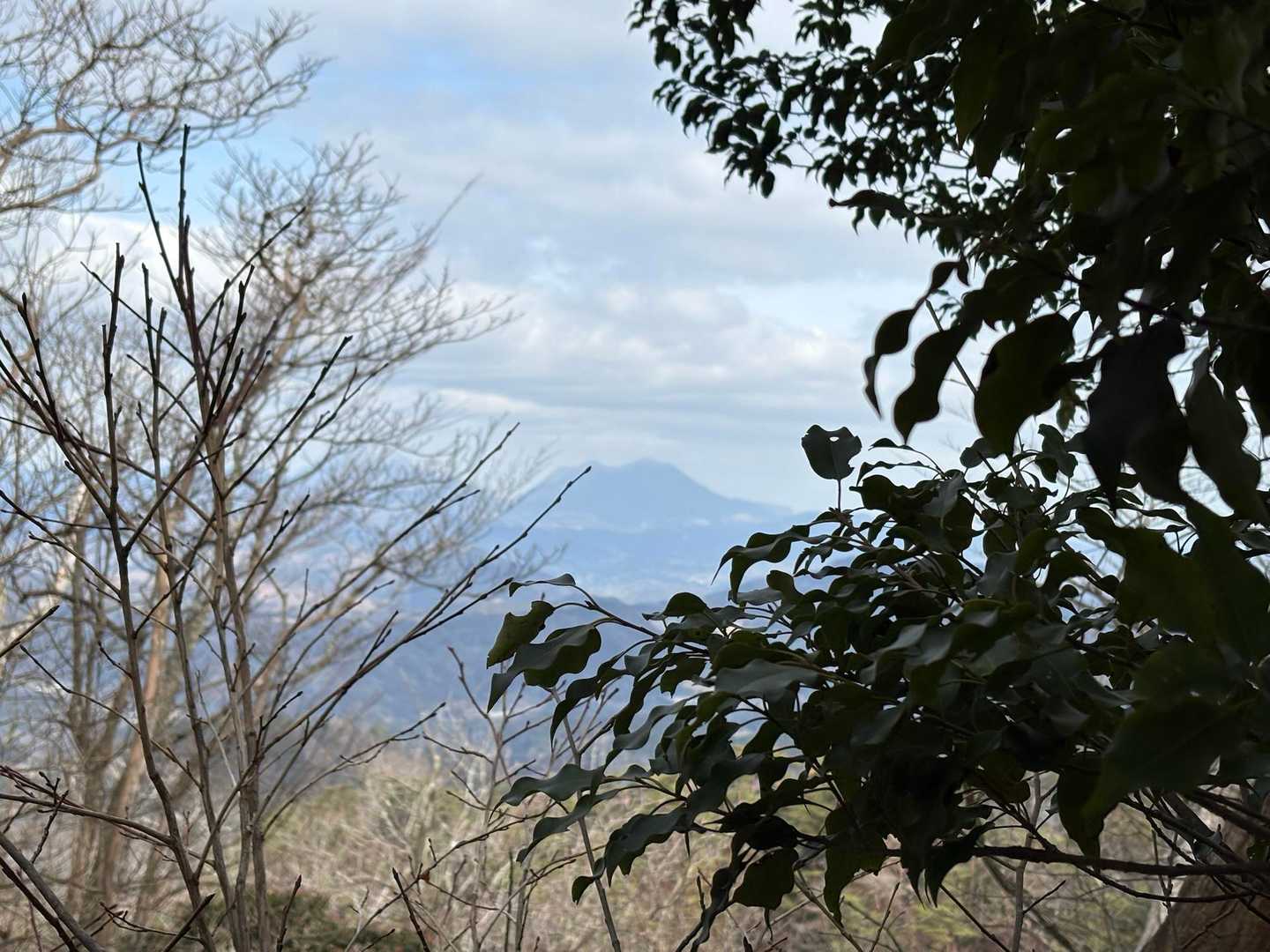 樹間から由布岳と鶴見岳