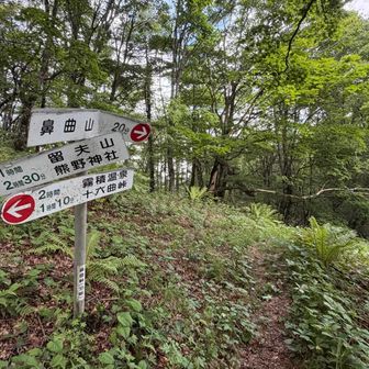 鼻曲山への分岐で鼻曲山へ先に登ることに