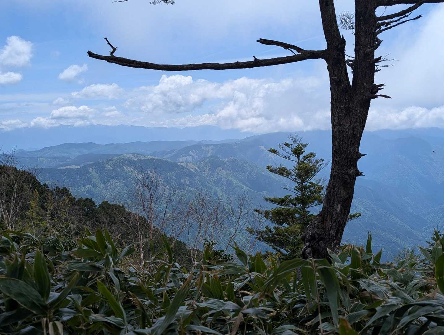 小秀山-三ノ谷登山口 周回コースの写真