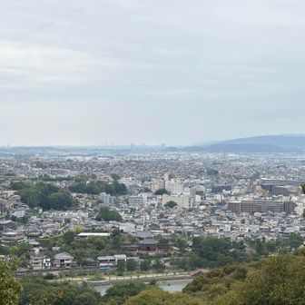 朝日山から平等院の眺め