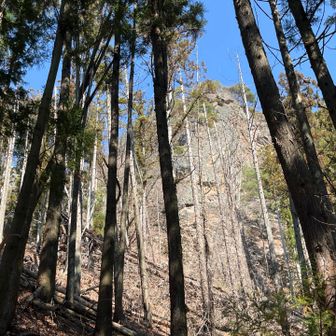 近づいて来ましたよ〜