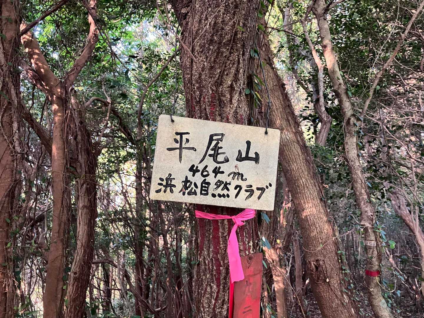 浜名湖ビュー・39トレイルの写真