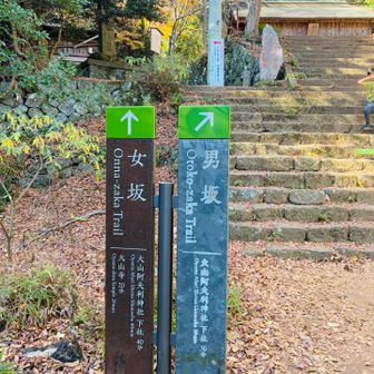 結構階段下りがずーと続いて、なかなかきつい