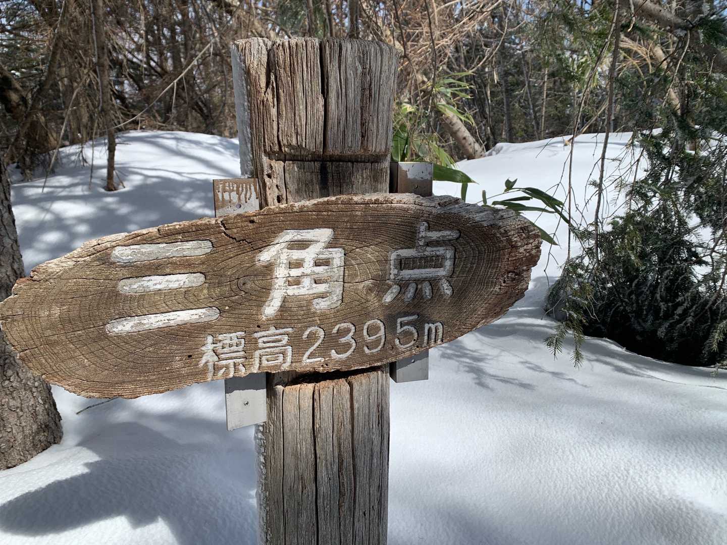 月寒台到着！まだ誰の踏み跡もない。
やっぱりここは2395m。高山帯だなあ😩(写真を撮る時は、雪で小数点を埋めることを推奨)