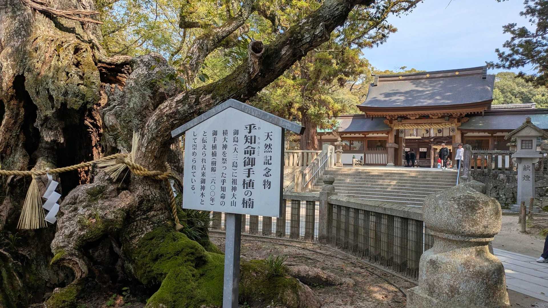 ここにも凄い御神木🙏🙏
とにかく神社のパワーが凄すぎて✨✨