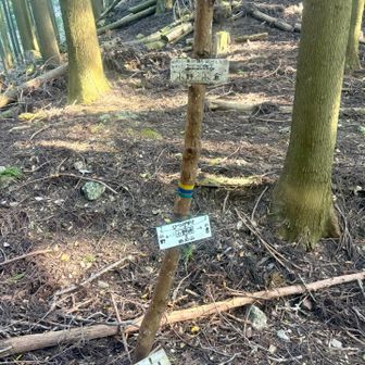 分岐。ココから黒谷寺跡の方面へ