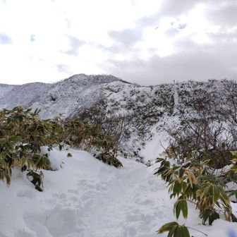 前荒島岳
荒島岳、中荒島岳が見えています。