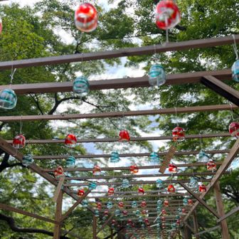 竈門神社の風鈴🎐