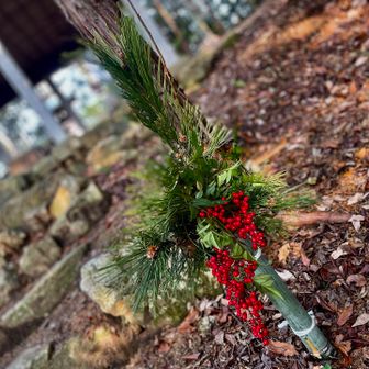 ここもお正月仕様なってました🎍